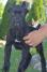 Cane Corso, vrhunski štenci